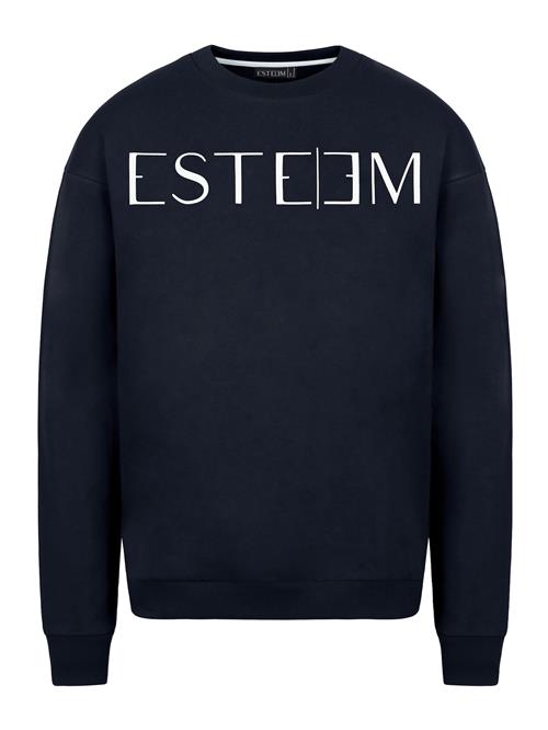 ESTEEM Sweatshirt  antracit / hvid