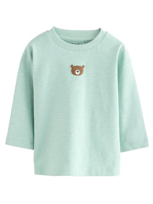 Next Shirts  azur / brun