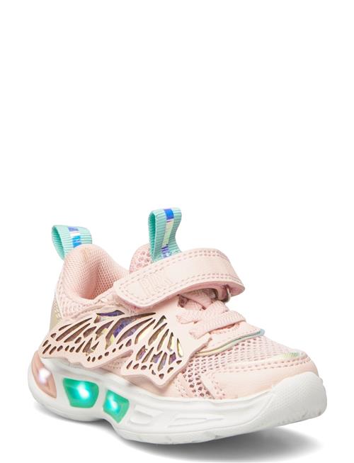 PAX | Twinkle Pax | 24/16CM