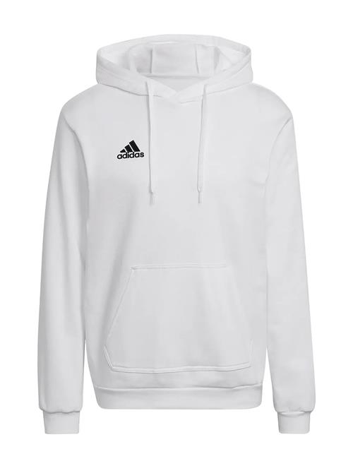 adidas Performance | Ent22 Hoody | XXL