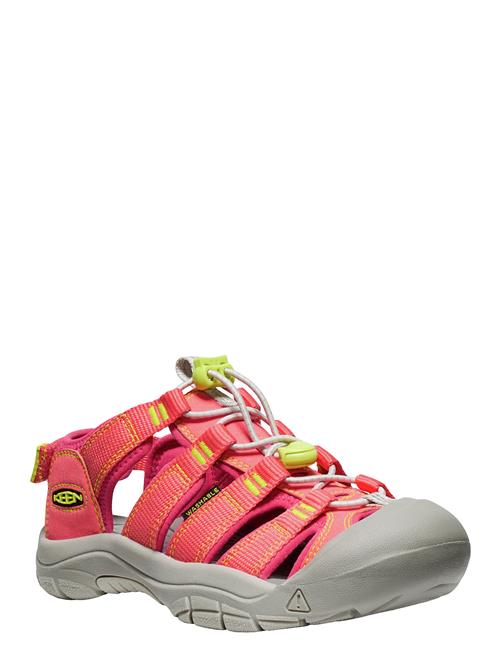 KEEN | Ke Newport Boundless | 32-33