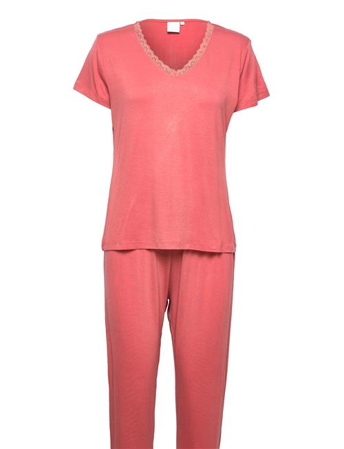 CCDK Copenhagen | Joy S/S Pj Set | L