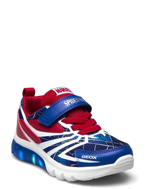 GEOX | J Ciberdron Boy H | 33