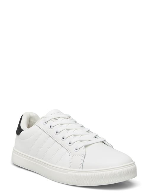 Exani | Percy W | 41