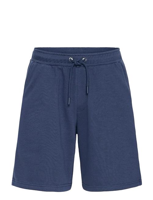 Blend | Bhcano Shorts | XXL