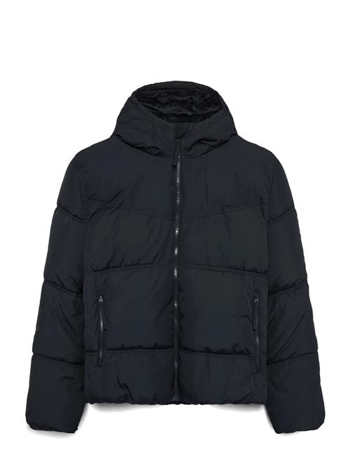 Hollister | Hco. Guys Outerwear | L