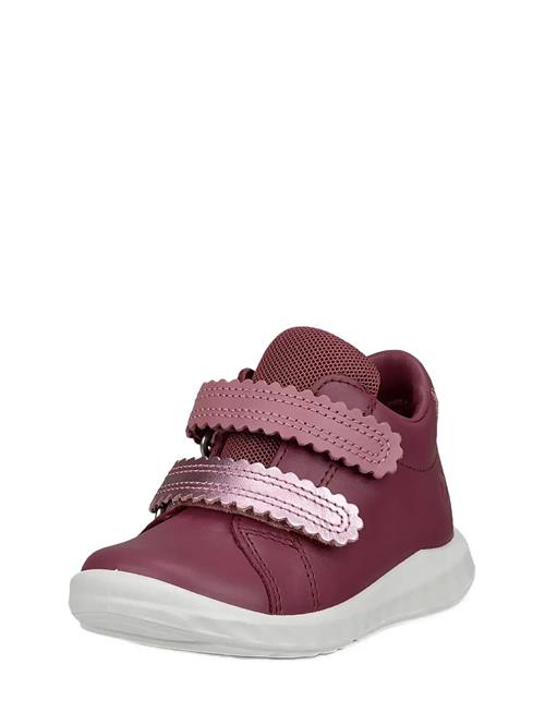 ECCO | Sp.1 Lite Infant | 19