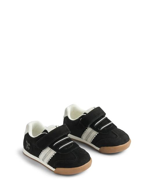 Wheat | Sneaker Spectra | 21