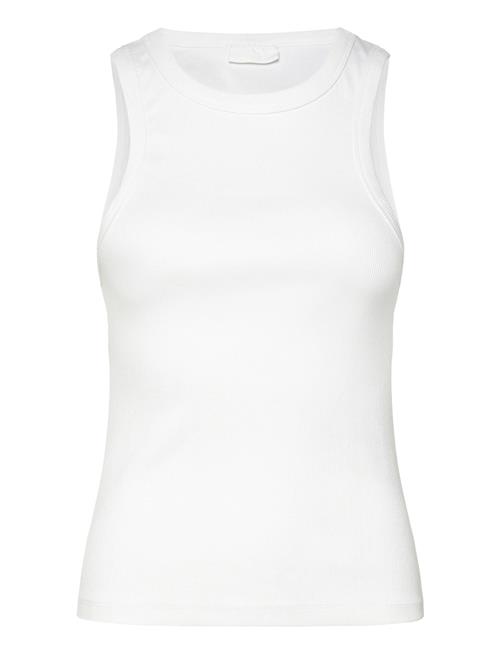 2NDDAY | 2Nd Purity Tt - Daily Cotton Rib | L