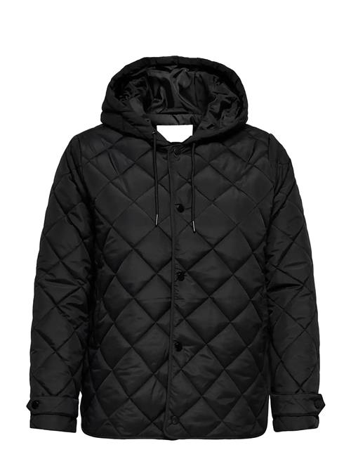 ONLY Carmakoma | Carjuliet Quilted Hood Jacket Noos | 50-52