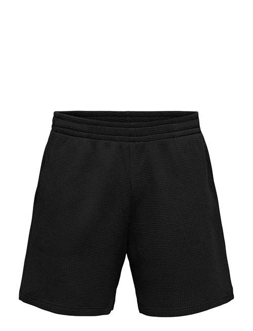 ONLY & SONS | Onstobie Rlx S Waffle Shorts | XXL