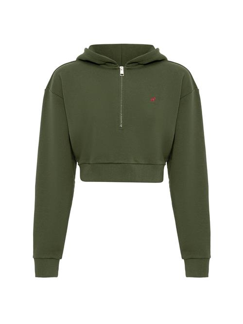 Williot Sweatshirt  khaki