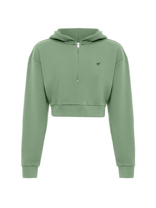 Williot Sweatshirt  grøn