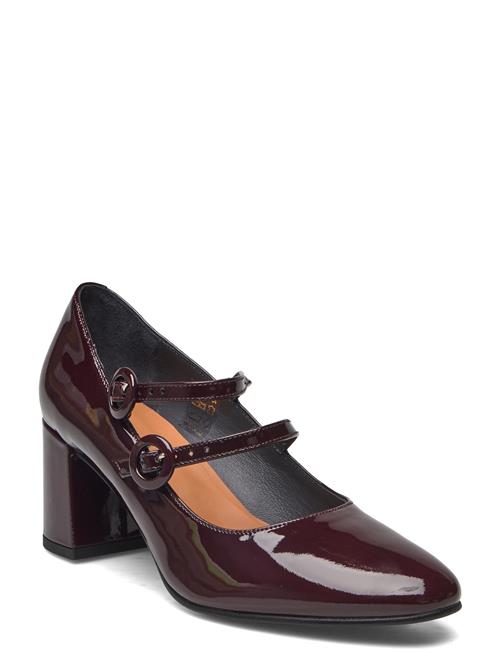 Jonak Paris | 264-Donia Vernis | 37