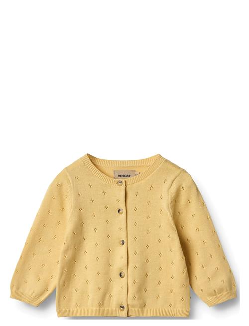 Wheat | Knit Cardigan Maia | 68