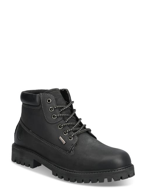 Axelda | Parma Wp | 43