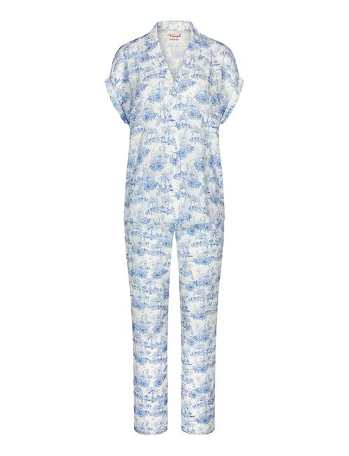 Triumph | Boyfriend Fit Pw X | 42