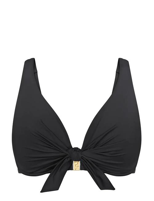 Triumph | Summer Twist W | F x 44