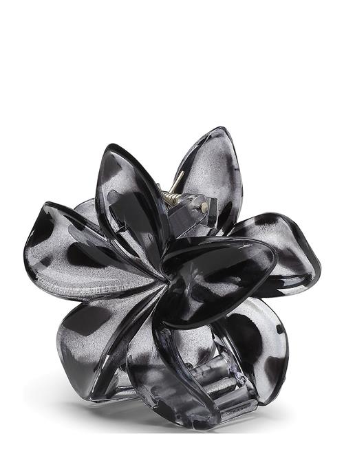 SUI AVA | Plumeria Clarity Big | BIG