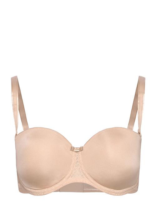 Triumph | Beauty-Full Essential Wdp | E x 80