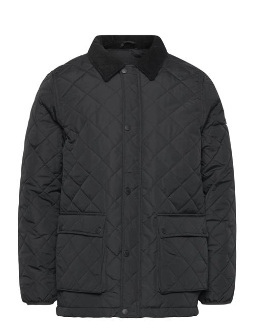 INDICODE | Indrills | XL