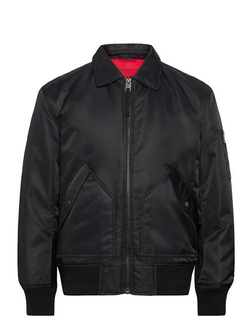 HUGO | Balamo2531 | XL