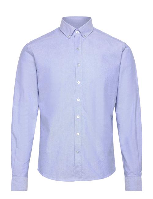 Sebago | Oxford Button Down Shirt | XXL