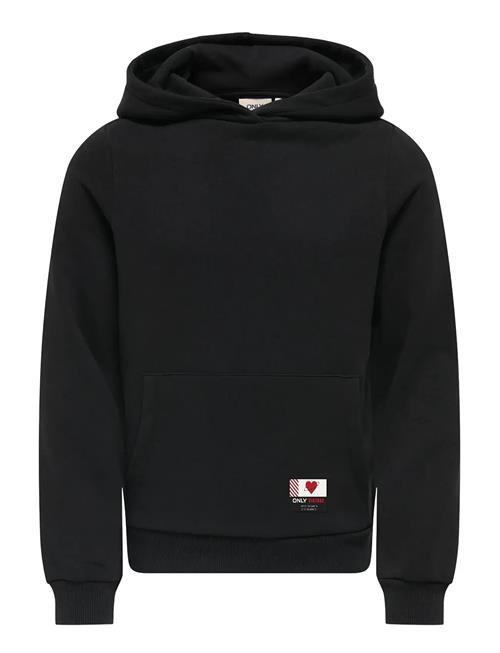Kids Only | Kognoomi-Vinta Label Ls Hood Cs Swt Noos | 146-152