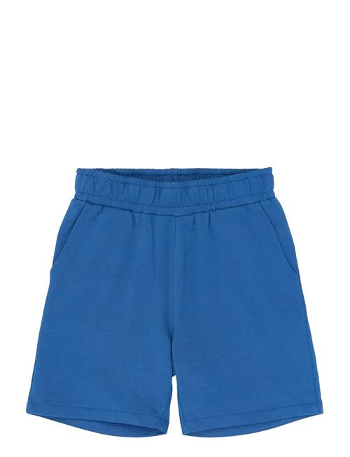 The New | Tnrasmus Sweat Shorts | 158/164