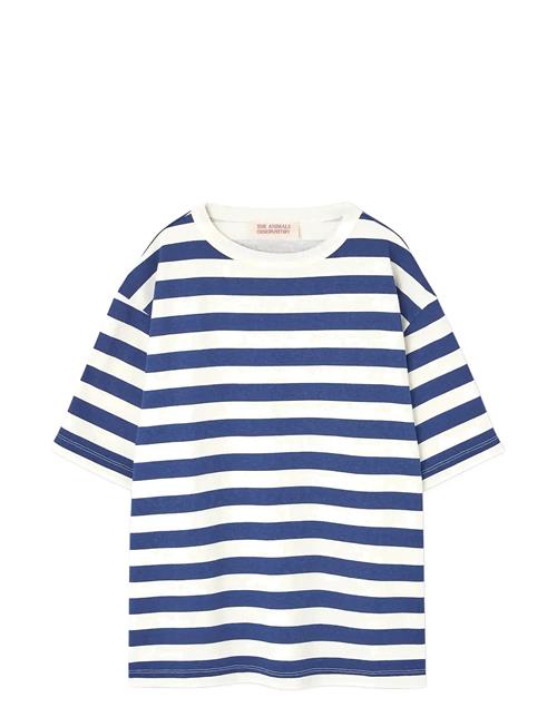 THE ANIMALS OBSERVATORY | Stripes Navy Collie T-Shirt | 12 Y