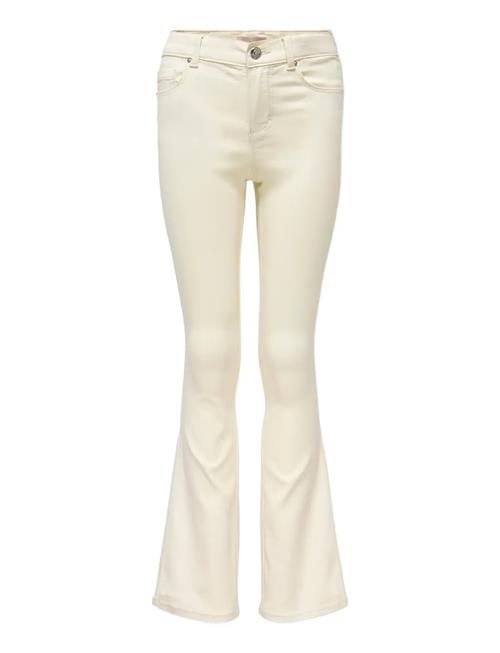 Kids Only | Kogroyal Life Reg Flared Pim019 | 152