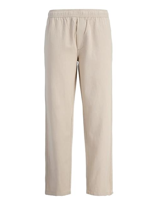 Jack & Jones | Jpstkarl Ivy Jogger Sn | XXL