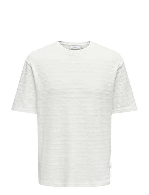 ONLY & SONS | Onsgivo Reg 12 Ss Crew Knit Noos | XL