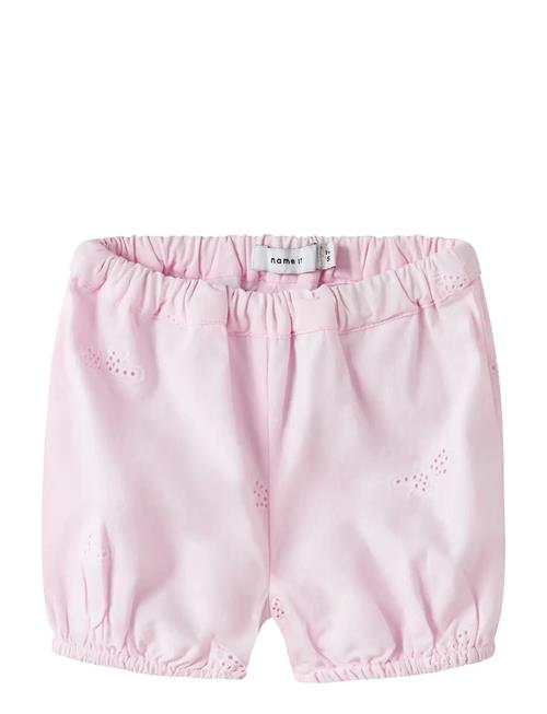 name it | Nbffinas Bloomer | 62