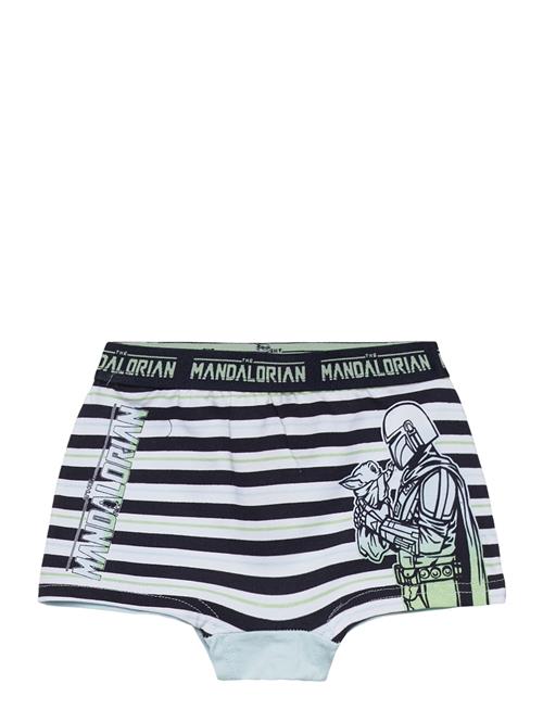 Disney | Boxer | 110/116