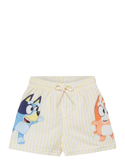 Bluey | Swimwear | 104