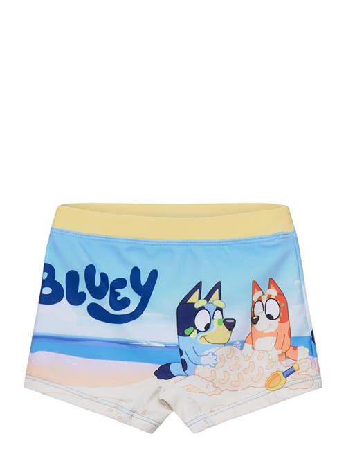 Bluey | Swimwear | 98
