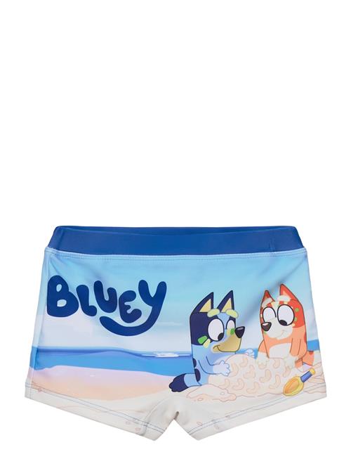 Bluey | Swimwear | 110