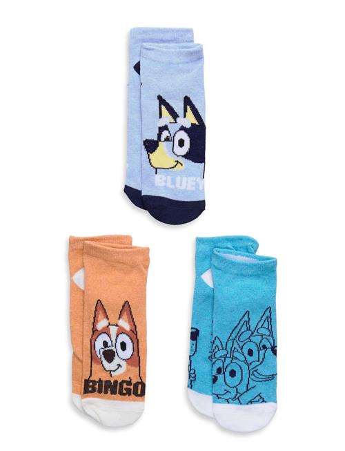 Bluey | Socks | 27/30