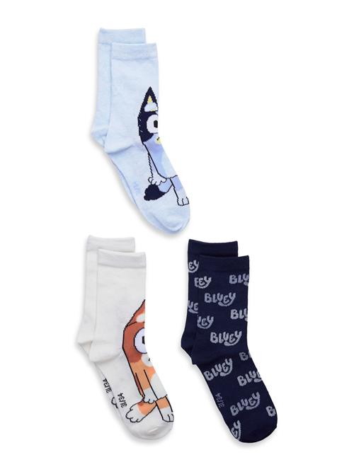 Bluey | Socks | 23/26