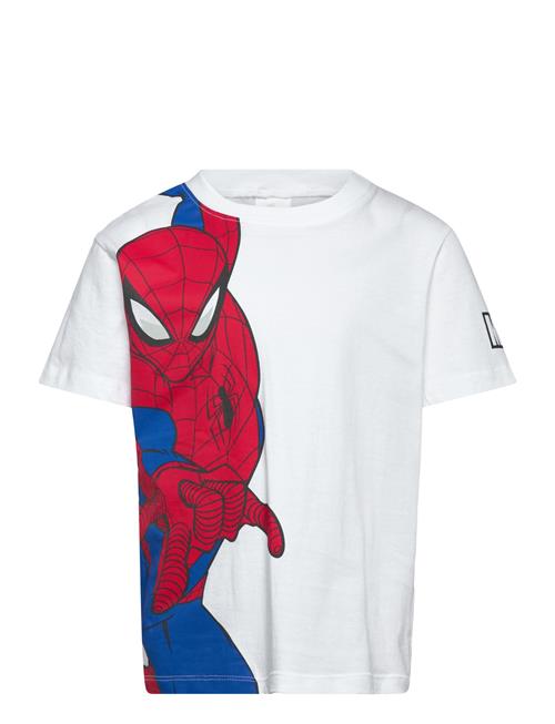 Marvel | Tshirt | 104
