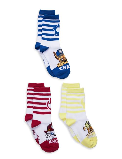 Paw Patrol | Socks | 31/34