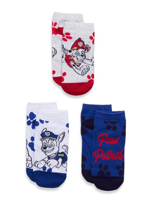 Paw Patrol | Socks | 31/34