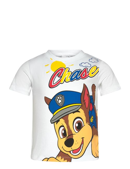 Paw Patrol | Tshirt | 98