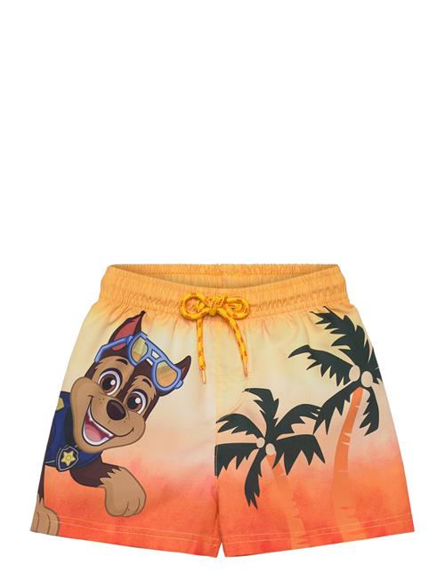 Paw Patrol | Swimwear | 116