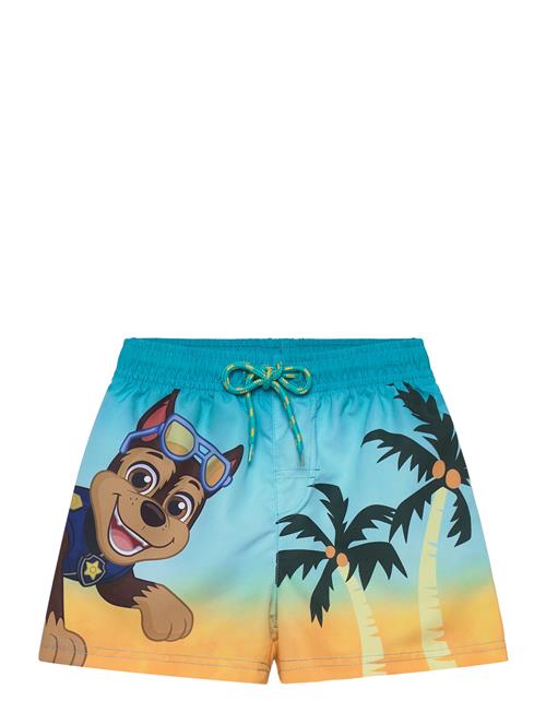 Paw Patrol | Swimwear | 110