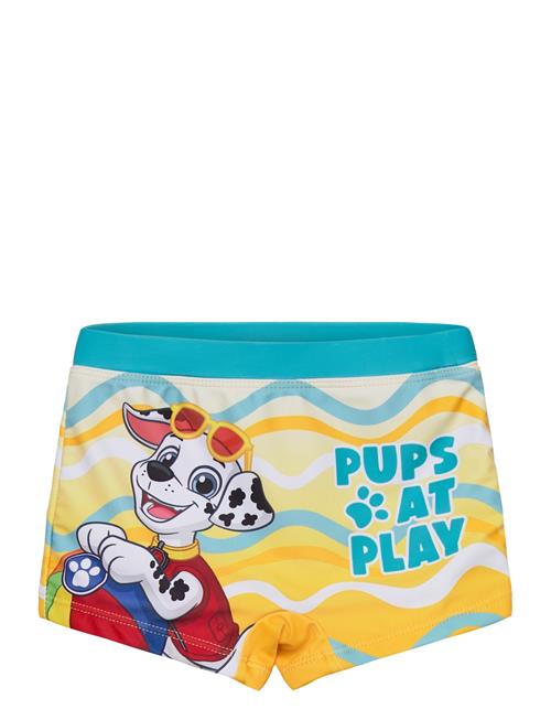 Paw Patrol | Swimwear | 104