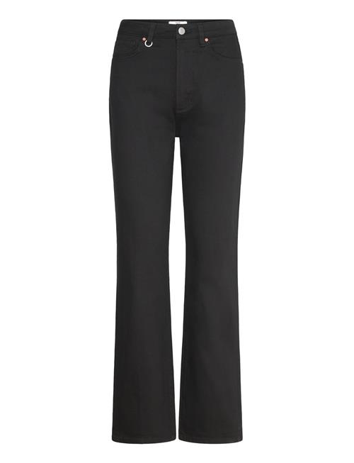 NEUW | Nico Straight Stay Black Jet Black | 28 x 34