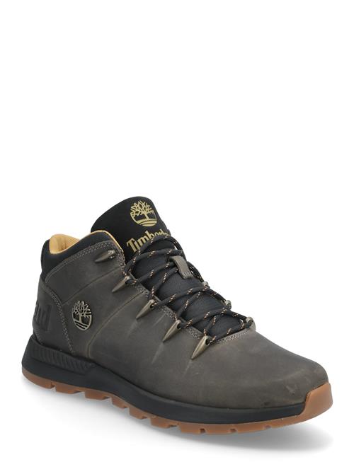 Timberland | Mid Lace Up Sneaker | 40