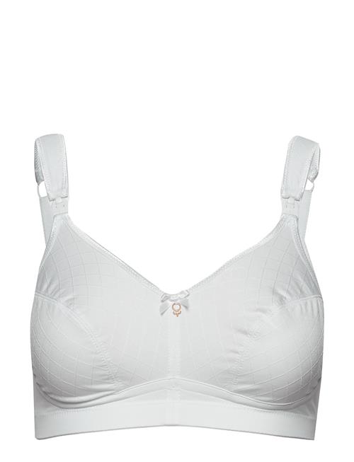 Abecita | Leonarda Soft Maternity Bra White | D x 90